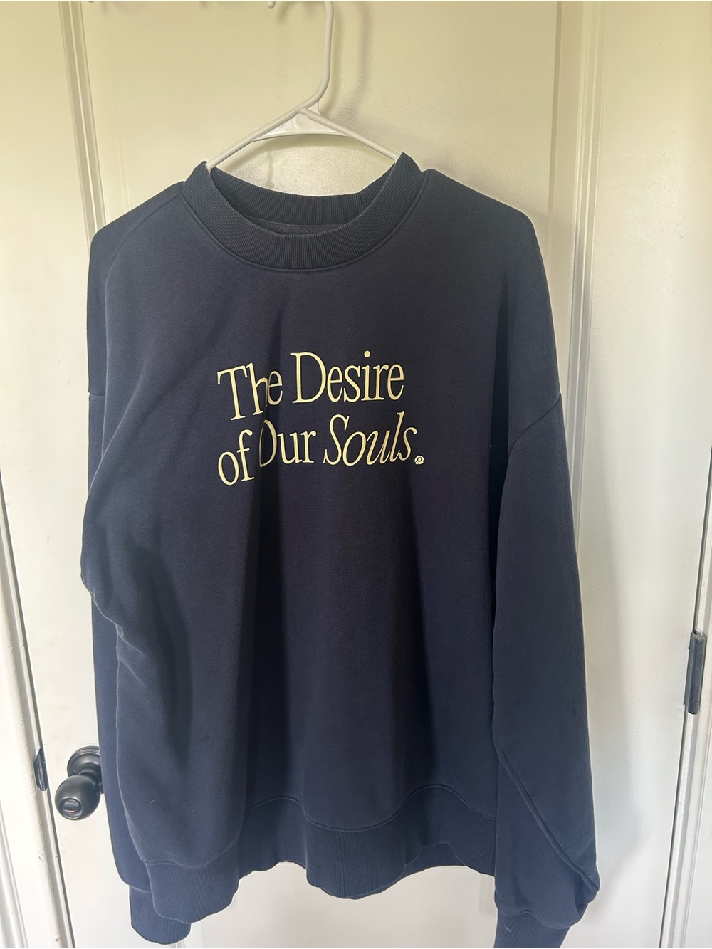 The Desire of Our Souls Navy Graphic Crewneck Sweatshirt